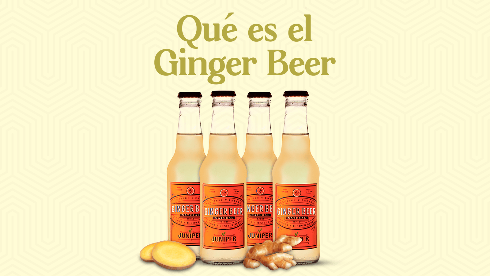 Qué es una Ginger Beer - Licores Medellín