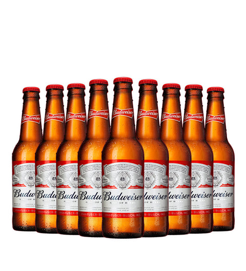 Paca Cerveza Budweiser - 24und