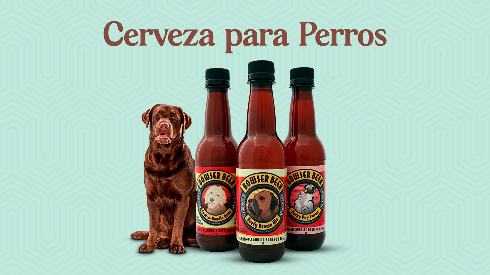 Cerveza para Perros, la nueva tendencia en Marketing de Bebidas. - Licores Medellín