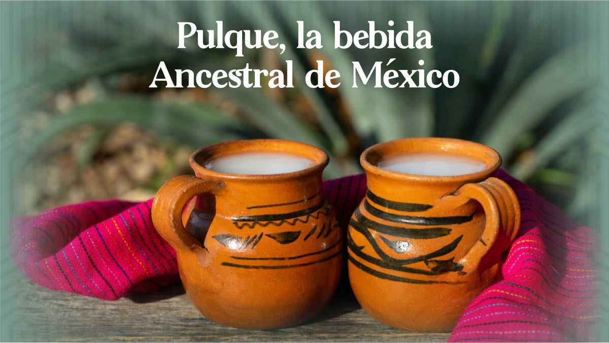 Pulque, the ancestral drink of Mexico – Licores Medellín
