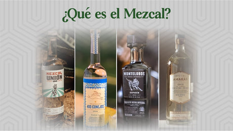 ¿Qué es el Mezcal? - Licores Medellín