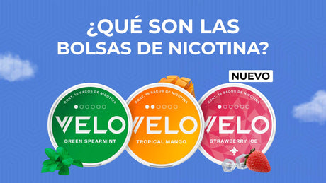 ¿Qué es el snus o las Bolsas de Nicotina? - Licores Medellín
