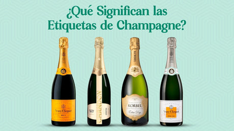 ¿Qué significa Brut Nature, Brut, Demisec, Seco? - Licores Medellín