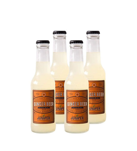 4 Pack Mezclador Gingerbeer Juniper - 200cc - Licores Medellín