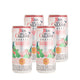 4 Pack Coctel Daiquiri Ron Viejo de Caldas - 295ml