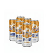 6 Pack Cerveza Andina Lata - 310cc