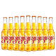 Bale Beer Sol - 24und
