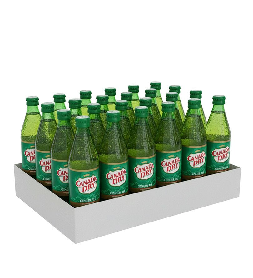 Paca de 24 botellas de vidrio de gaseosa Ginger Ale Canada Dry de 300 ml