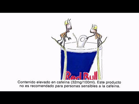 Bebida Energizante Red Bull - 250ml