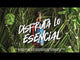 Licor de Ron Viejo de Caldas Esencial Garrafa - 1750ml